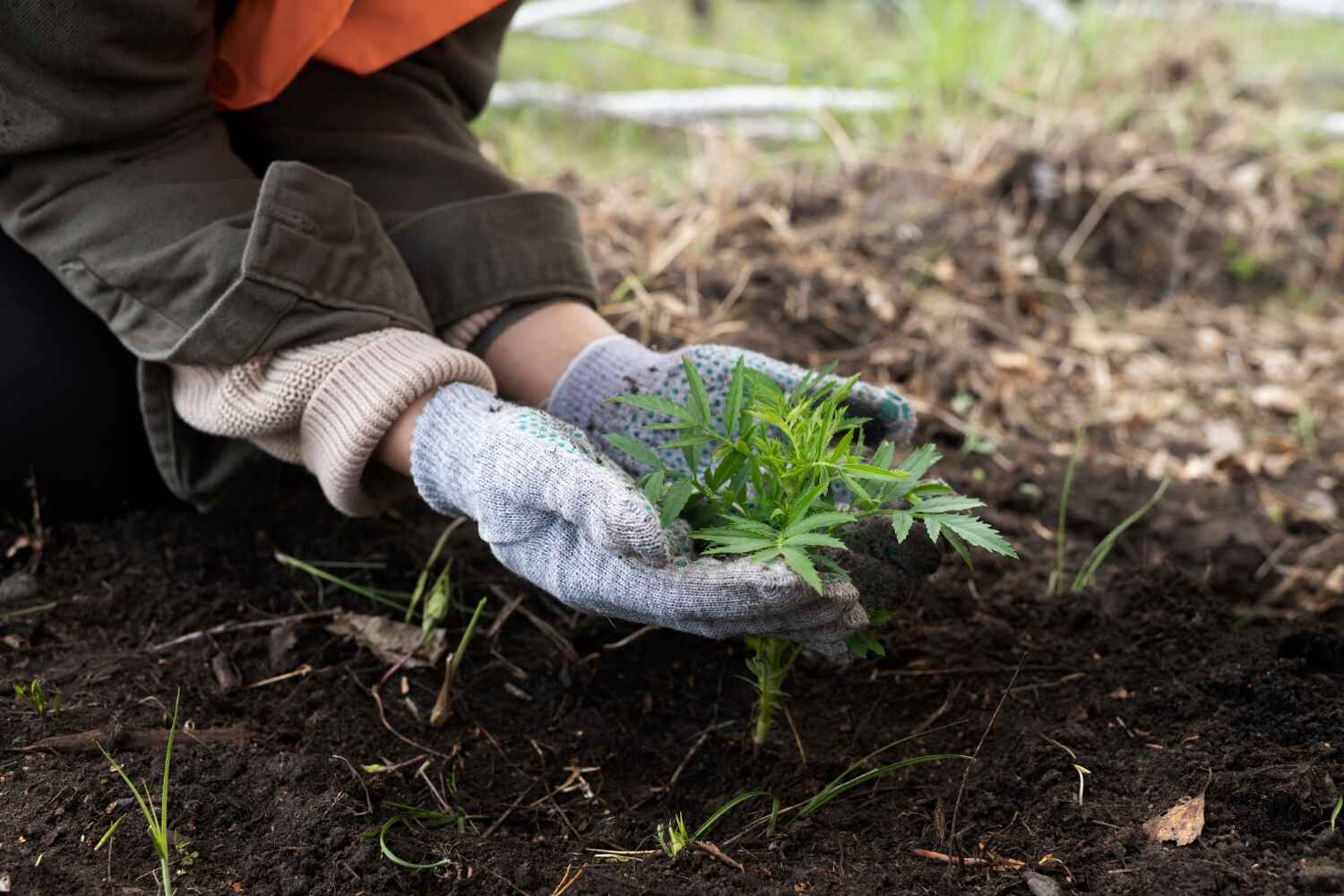 Best Tree Branch Trimming  in Orida Ridge, FL